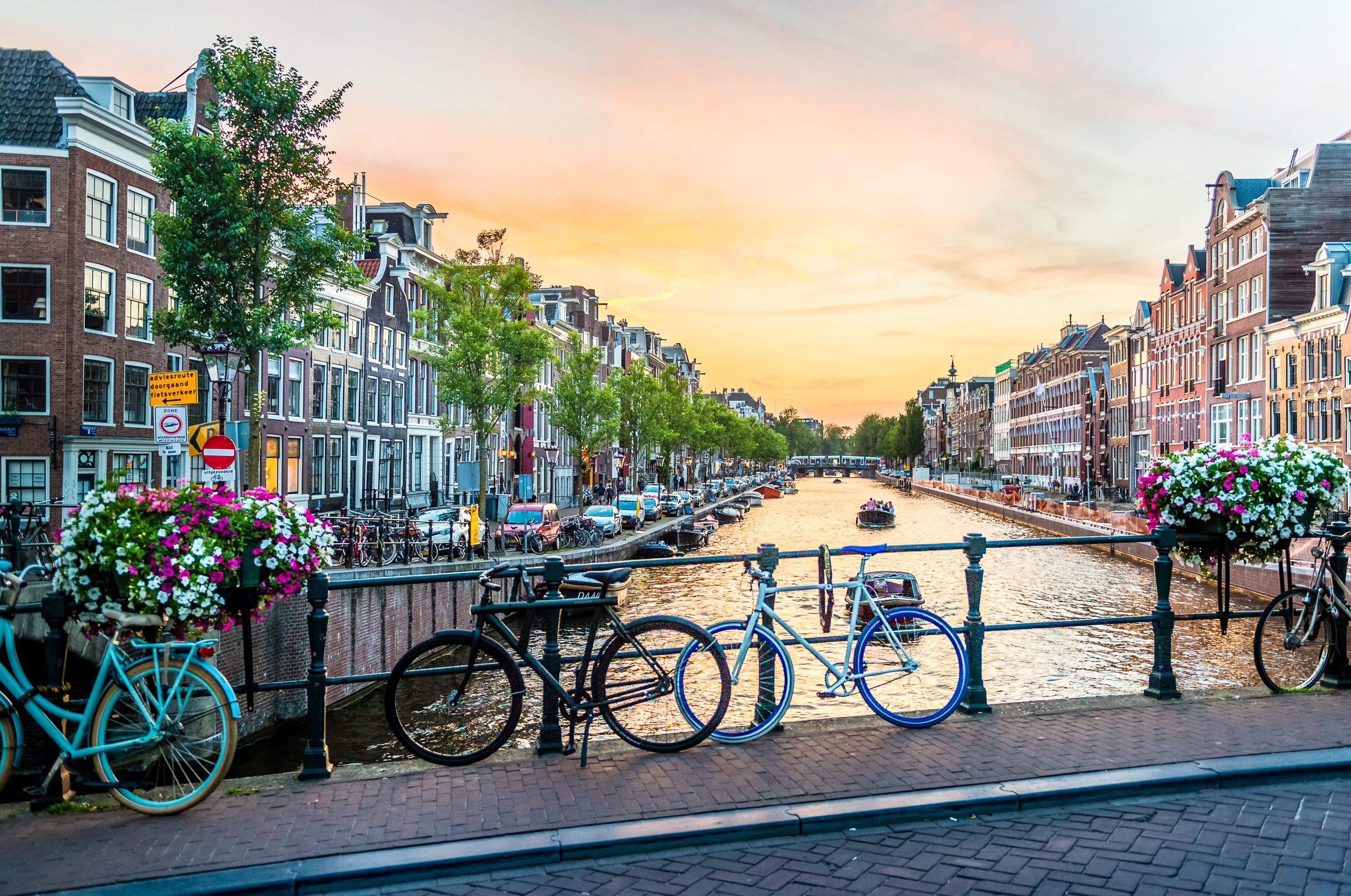 Netherlands Office